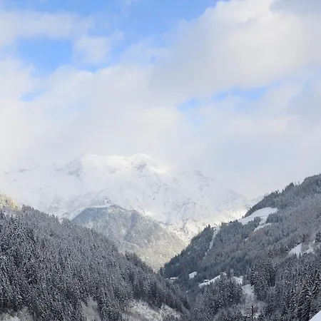 Elfriede-1 By Interhome Apartment *